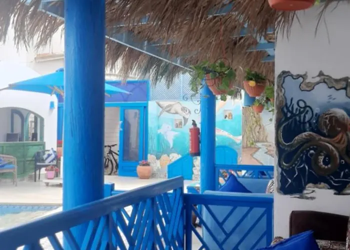 Chillax Dahab